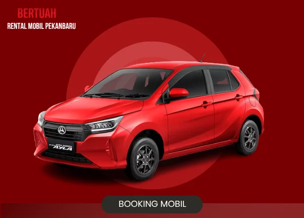 Rental mobil Ayla Pekanbaru